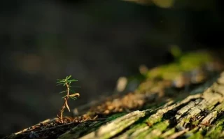 生命的脆弱，常在不经意间！