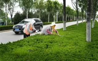 潜行于都市的绿意织梦人！