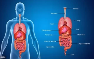 人体8大器官最怕什么？