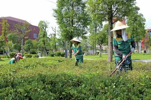 潜行于都市的绿意织梦人！ 第2张